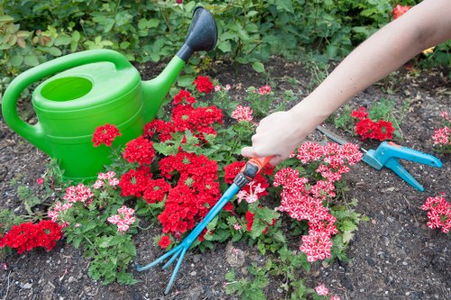 Garden maintenance professional assessing a lawn