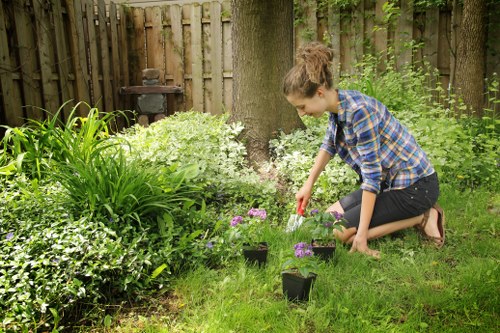 Gardener inspecting hedges and taking notes
